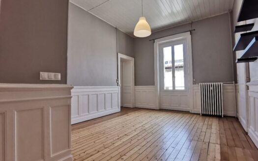 Grand appartement f2 47 m²