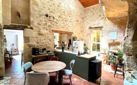 Belle maison en pierres avec vue sur le vignoble de l’Entre-deux-mers