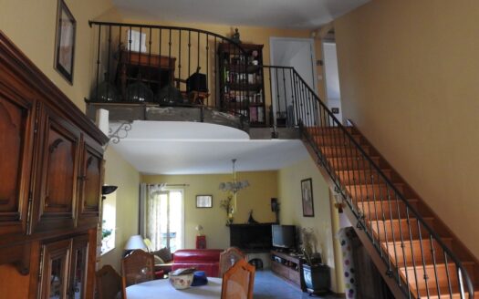 1/3  Vente villa juvignac