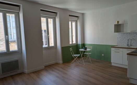 Appartement T1 Bis 33m2 Place Maucaillou-Capucins-Saint Michel 33800 BORDEAUX