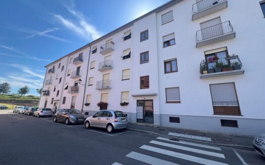 Vente Appartement 3 pièces 75 m² NEUF-BRISACH (68600)