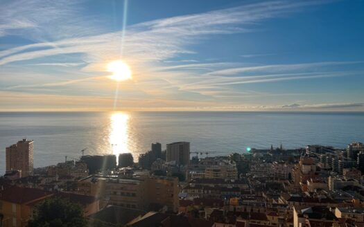 Propriété d’Exception de 10 000 m2 vue mer  à Rénover aux Portes de Monaco avec piscine