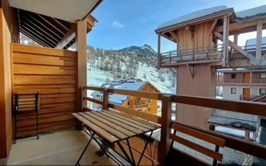 Appartement 32m2 ski aux pieds avec parking