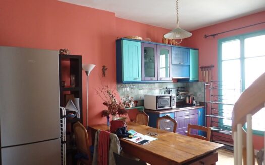 Particulier vend appartement de charme Paris 12, duplex 89 m² au sol / 60 m² Carrez, immeuble a