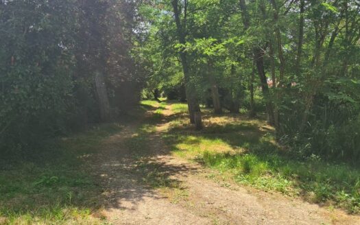 Maison sur grand terrain arboré, idéal couple et retraite paisible.