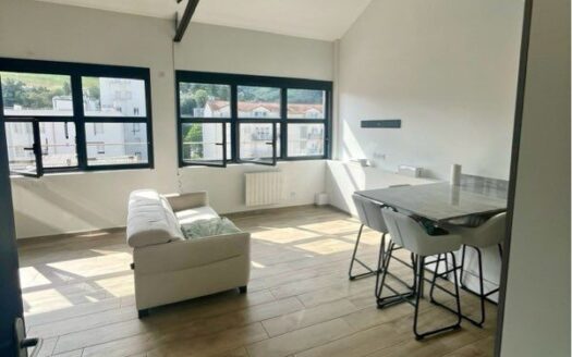 Appartement type loft