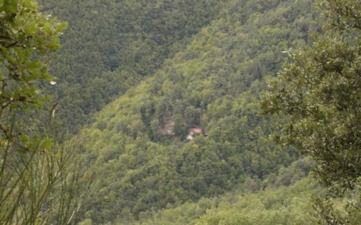 Maison atypique écologique autosuffisante