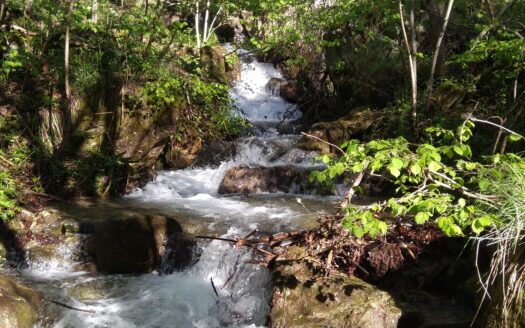 charmant domaine en pleine forêt