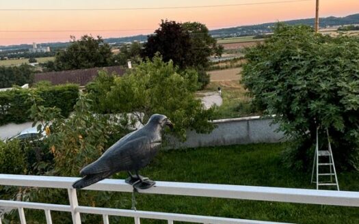 Villa Spacieuse de 5 Pièces avec Balcon – Calme Absolu et Grand Potentiel