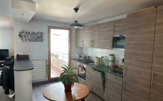 Appartement 3 pièces 73,27 m² Gratte-Ciel avec balcon, garage et cave