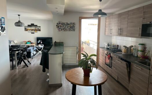 Appartement 3 pièces 73,27 m² Gratte-Ciel avec balcon, garage et cave