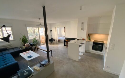 Appartement lumineux avec balcon-terrasse à 100m du canal de l’Ourcq Paris 19e