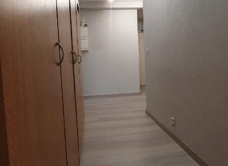 Appartement F3 entièrement rénové au cœur de Saint-Louis, Alsace