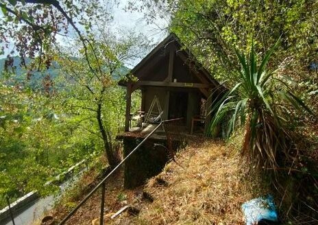 Superbe propriété,avec maisonnette de 30m carré,avec une source et 6000m carrés de forêt