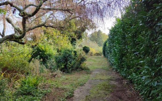 Rare sur le marché : maison de caractère dans un cadre exceptionnel