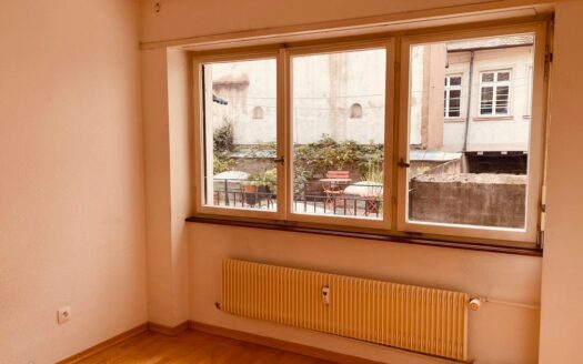 Vends appartement centre historique de Strasbourg T3 – 75 m carré – terrasse