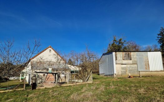 Maison individuelle + terrains