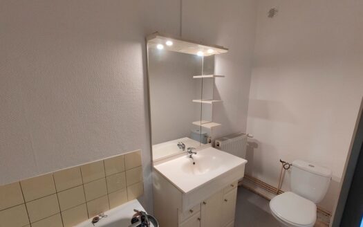 1/3  Appartement meublé F1 bis proche alstom