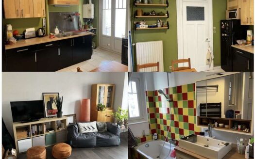 Appartement 3 pièces 75 m² à Strasbourg – Neudorf