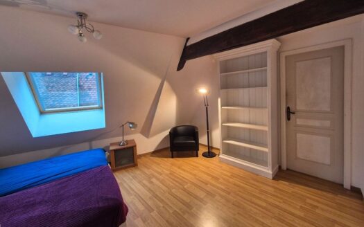 Appartement 2 pièces rénové 47m² – plein coeur d’Obernai hypercentre