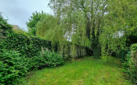 Maison semi individuelle avec grand jardin