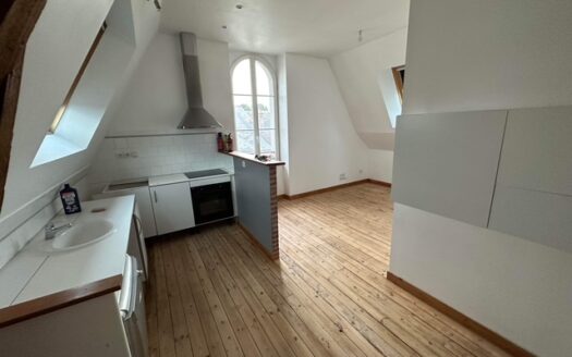 Appartement 54 M2