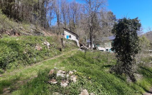 BERGERIE 40m2 en pleine forêt