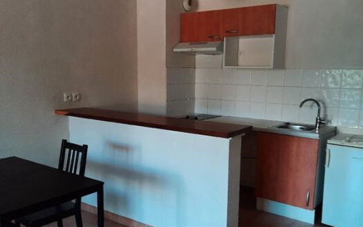 Appartement Toulouse 31400