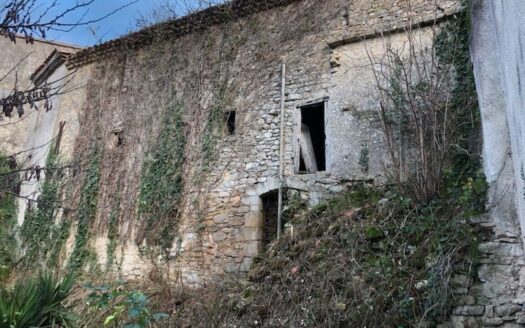 Maison ancienne avec terrain