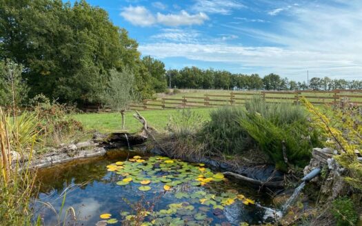 Belle propriété équestre / demeure équestre / ferme avec manège, box et prairies